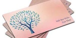 Customized Metallic Paper Shagun Envelopes