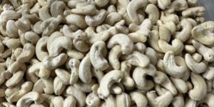 Processed Cashew Nuts