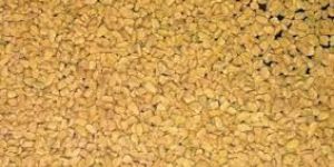 Fenugreek Seeds