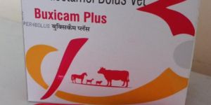 Meloxicam Paracetamol Bolus