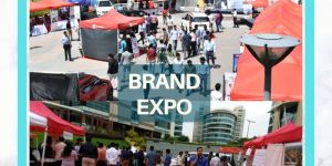 Exhibition Organizer Service