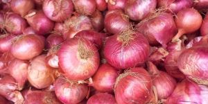 Onions