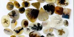 Shazar Dendritic Quartz Cabochon