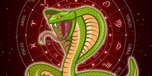 Kaal Sarp Dosh Nivaran Pooja Services