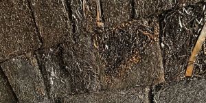 Mild Steel Turning Scrap