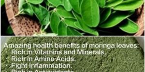 Moringa Leaves Powder