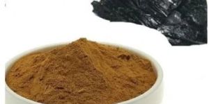 Shilajeet Powder