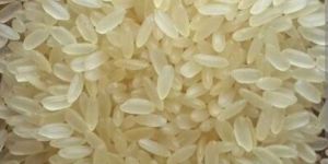 swarna-rice