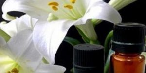 Lily Essential Oil