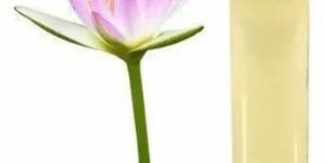 Lotus Essential Oil
