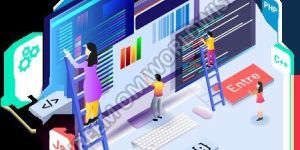 Web designing & development services