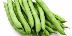 Fresh Green Bean