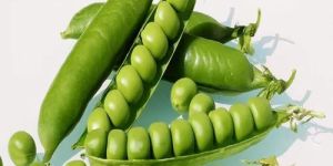 Fresh Peas