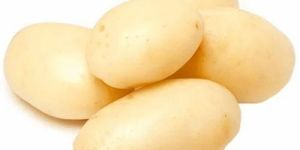 Fresh Potato