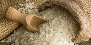 Rice Grain