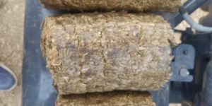 Mustard Husk Briquettes for Boiler