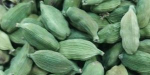 South Indian Spices