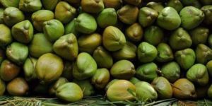 Tender Coconut Water
