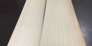 a Grade English Willow Bats