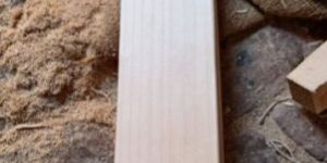 C Grade Kashmir Willow Bats