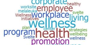 Wellness Program Services