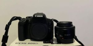 Canon Eos 800D + lens Fix portrait 50mm f1.8 / beginner cheap Dslr camera