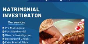 Matrimonial Detective