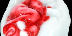 Palm Baby 2 Buddha Monk Statue