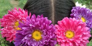 Chrysanthemum Flower