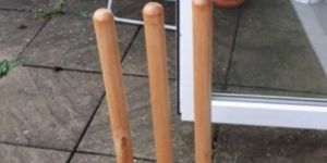Cricket Stumps