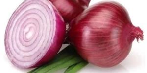 Fresh Red Onion