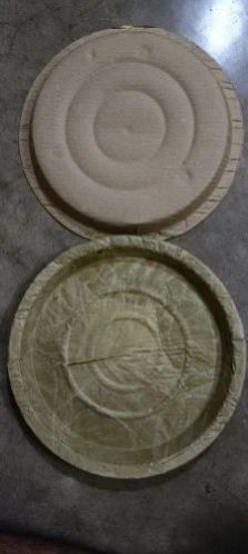 Disposable Areca Leaf Plates