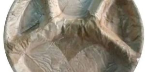 Disposable Natural Leaf Plates