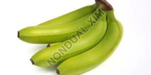 Cavendish Banana