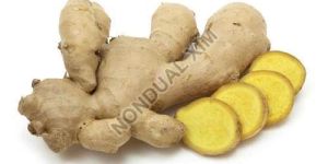 Fresh Ginger