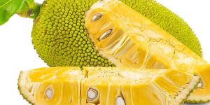 Jackfruit