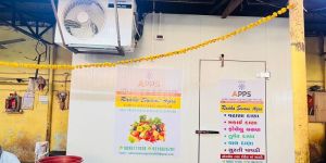 Fresh Exotic Vegetable