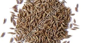 Cumin Seeds