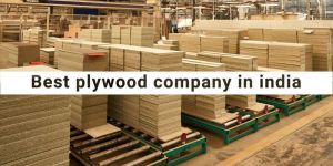 Plywood Boards