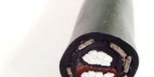 16 Sq Mm 2 Core Aluminium Armoured Cable