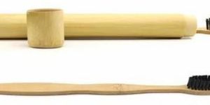 Bamboo Toothbrush with Tube