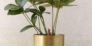 Metal Golden Planter