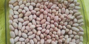 Groundnut Seed Eating Purpose