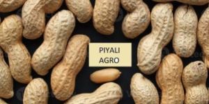 Raw Organic Peanut Kernels