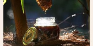 Organic Honey