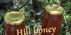 Pure Honey