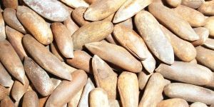 Pine Nuts