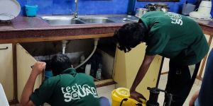 Cockroach Control Services