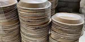 10 Inch Areca Leaf Round Plate