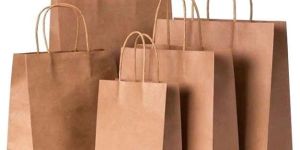 Brown Twisted Handle Paper Carry Bag